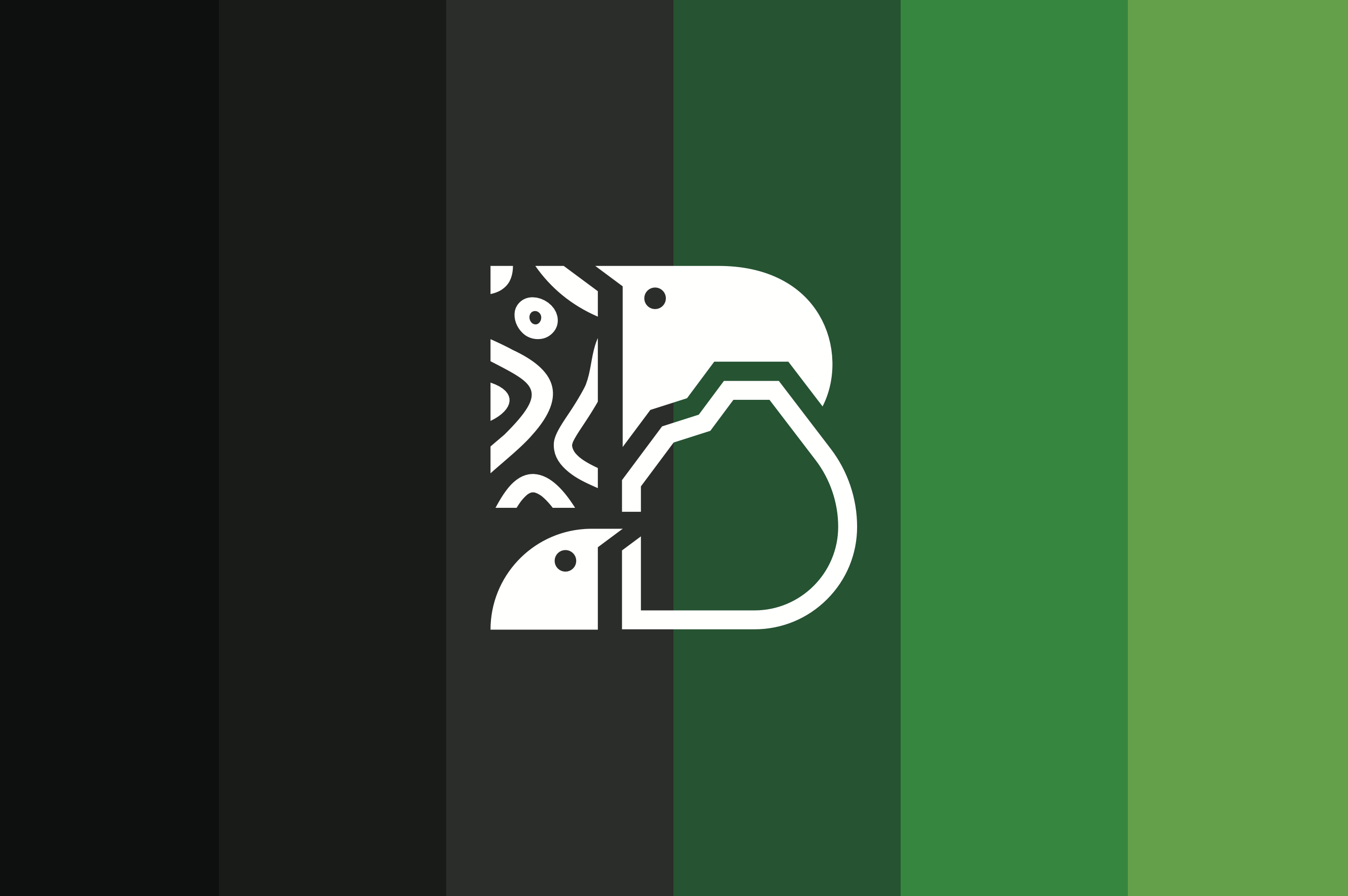 Drapeau du projet 07 — Drapeau 06